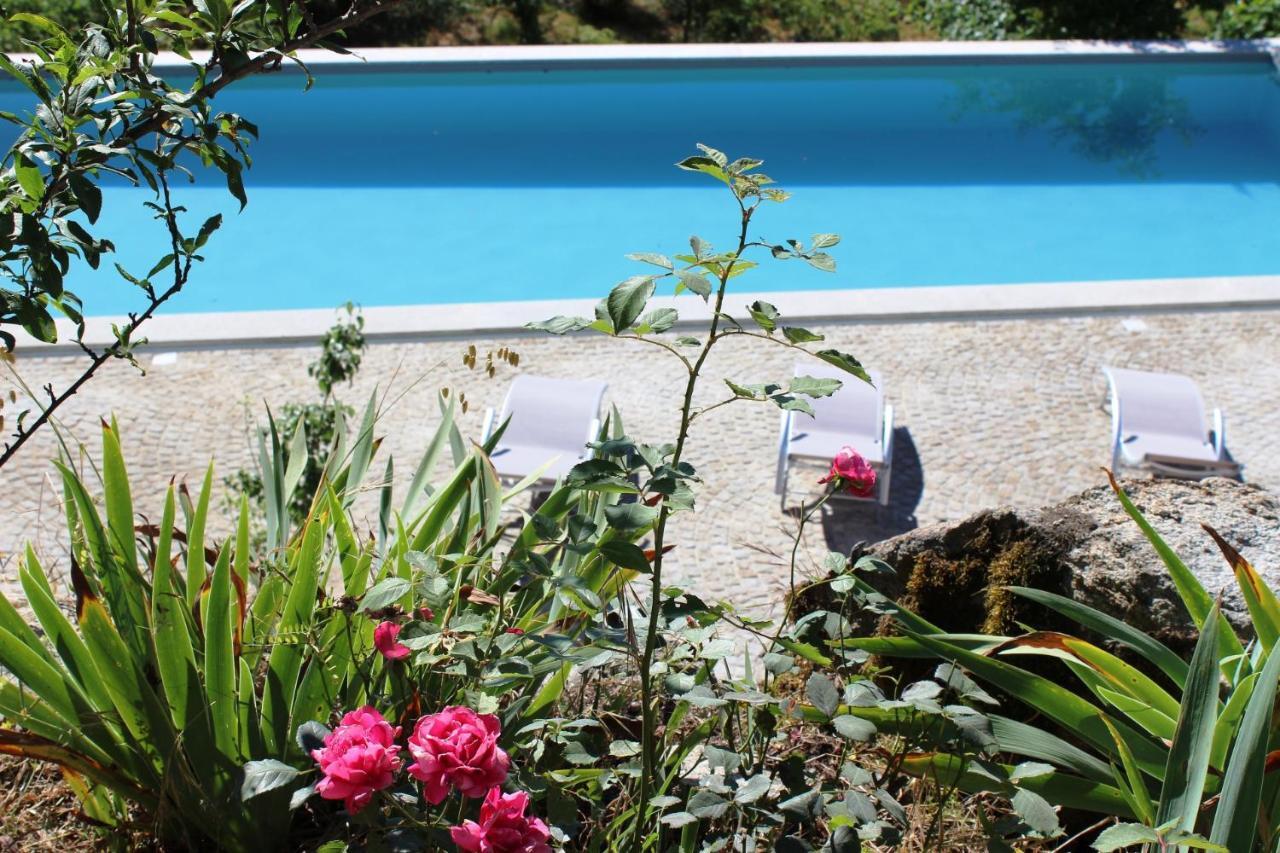 Villa Lugar Do Pego Tondela Buitenkant foto